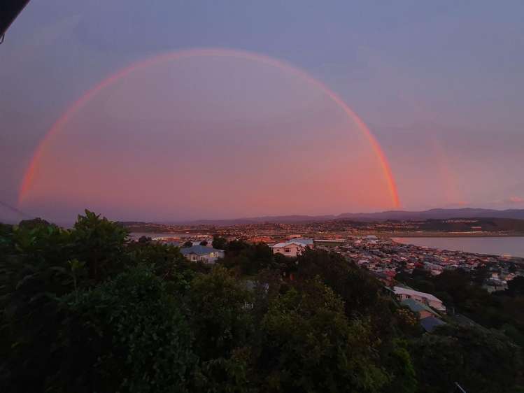 5 Hornsey Road Melrose_11