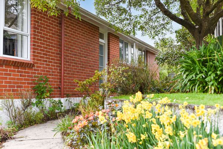 6 Hillary Street Liberton_23