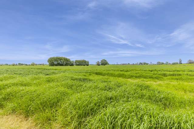 863 Tauhei Road Tauhei_2