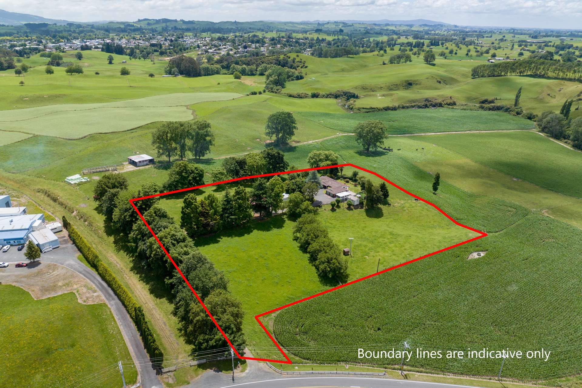 113 Domain Road Putaruru_0