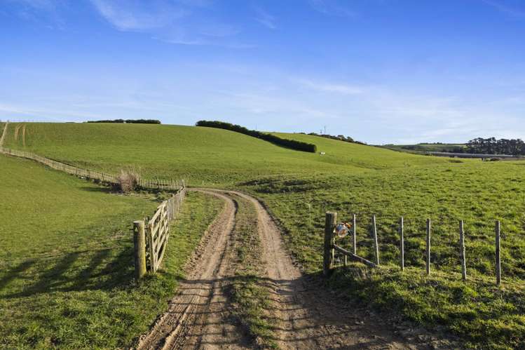 0n Skeet Road Te Roti_12