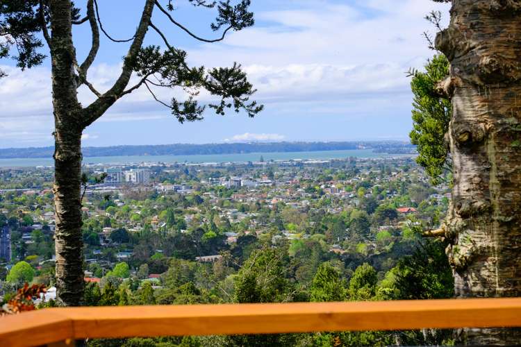 244 Konini Road Titirangi_6
