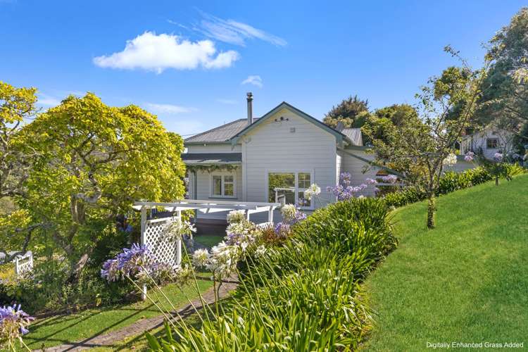 19 Milton Terrace Picton_30