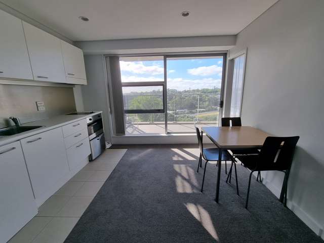 204/37 Symonds Street Auckland Central_1