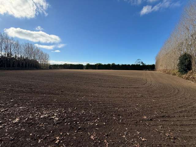 Prime Kiwifruit Opportunity – Lifestyle Included