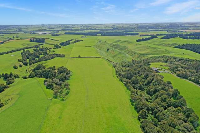 863b Mount Biggs Halcombe Road Halcombe_4