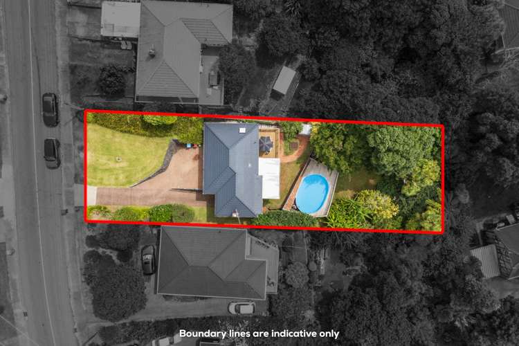 58 Belfast Street Hillsborough_19