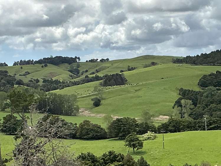 Lot 2/DP385487 Poyner Road Tahekeroa_7