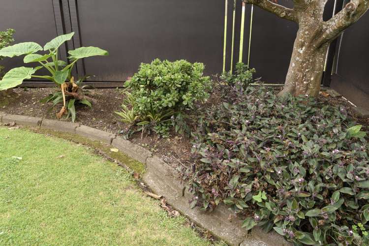 14B Levers Road Matua_19