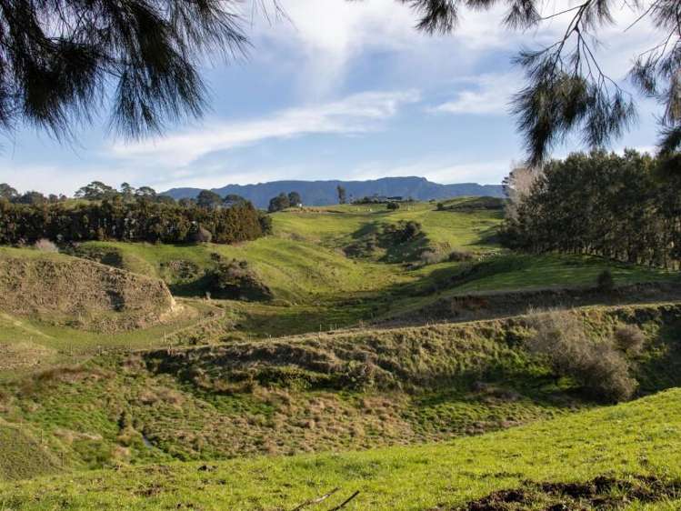 229 Walford Road Katikati_13
