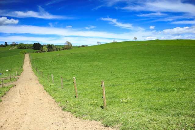 103a Ginn Road Huntly_2