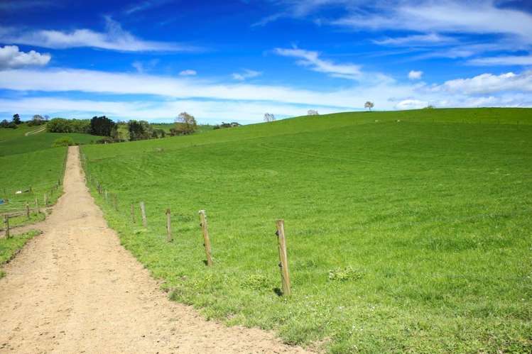 103a Ginn Road Huntly_2