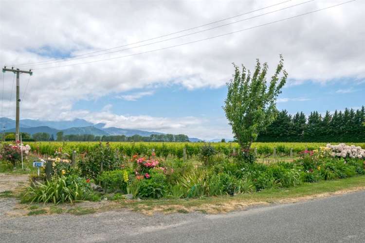 213 Chaytors Road Spring Creek_11