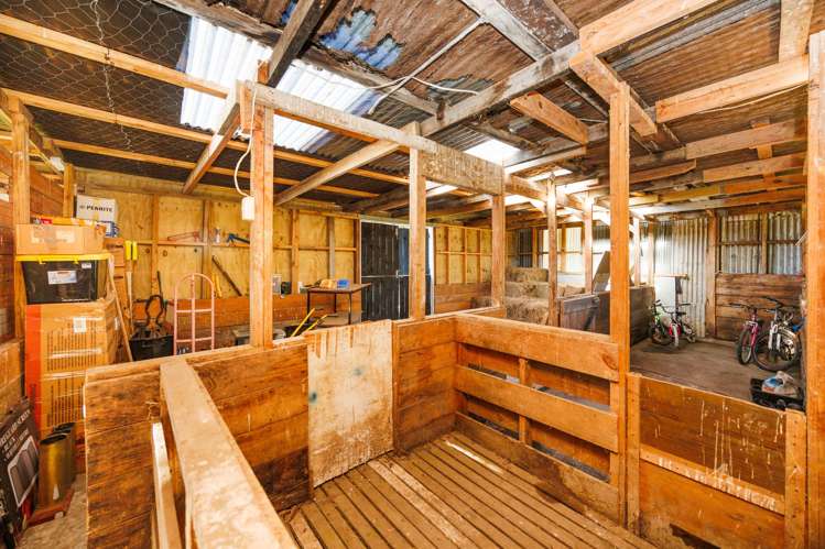 34 Hazelhurst Line Kelvin Grove_36