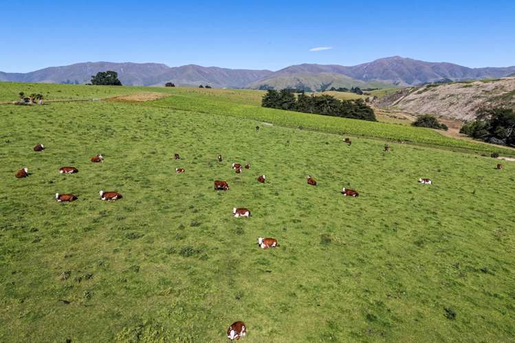 61 Howells Road Maungati_20