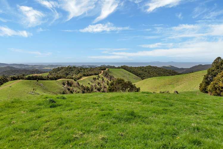 123 Waipipi Road Whananaki_47
