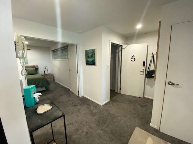 232E Pohutukawa Avenue 1117_1