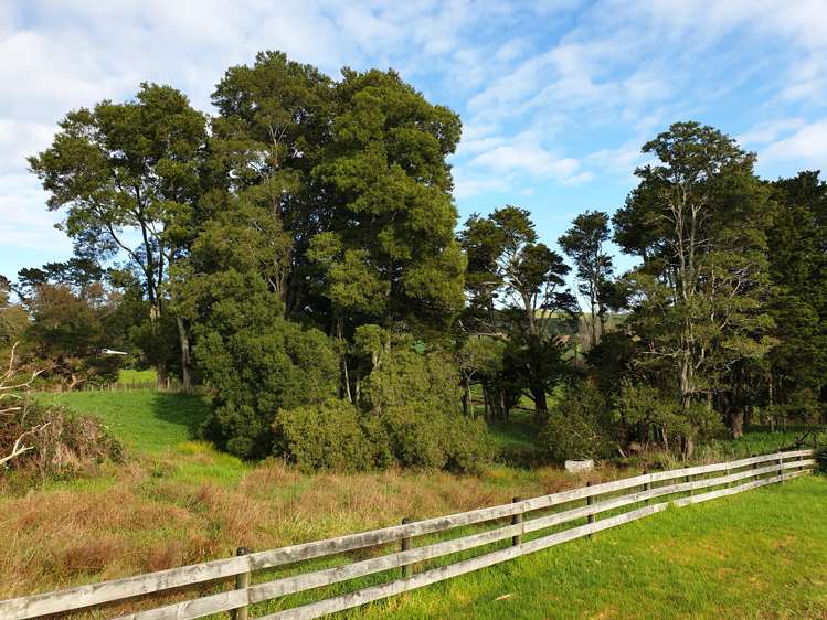 42 Jumna Road Maungaturoto_7