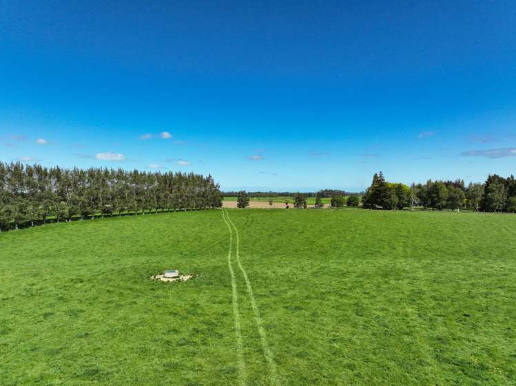 132 Guise Road Aparima_9