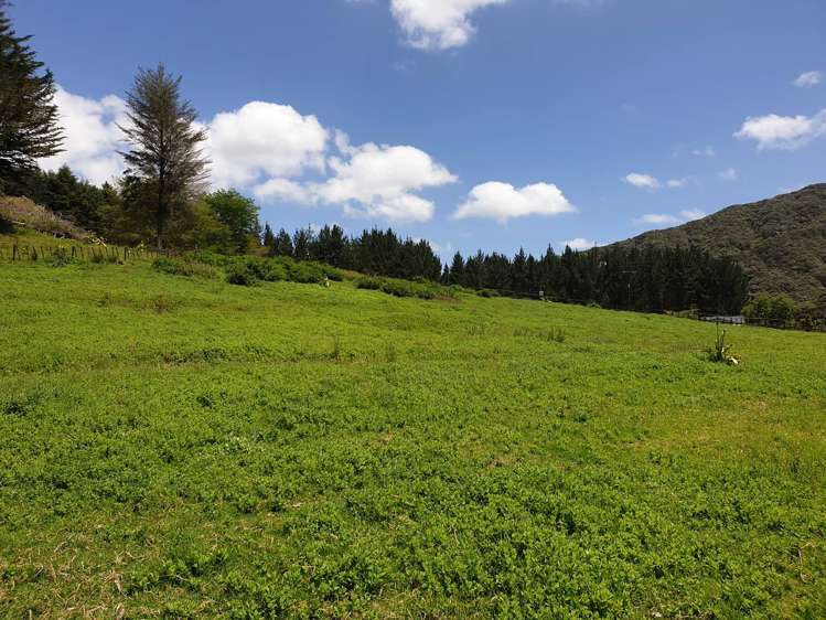 217 Taumatatahi Road Ruapehu-King Country Surrounds_25