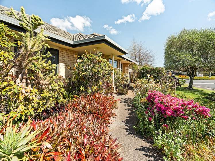 2 Luculia Drive Mt Maunganui_22