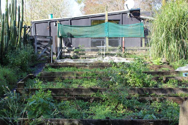 632a Sawyer Road Mangonui_24