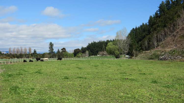 3957 Northbank Road Wairau Valley_42