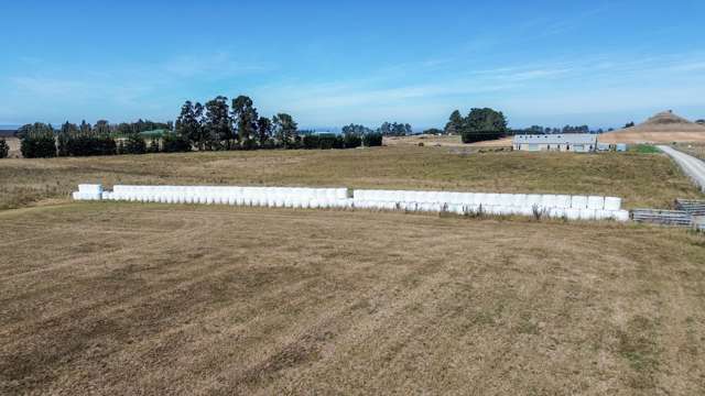 62D Springfield Road Totara_4