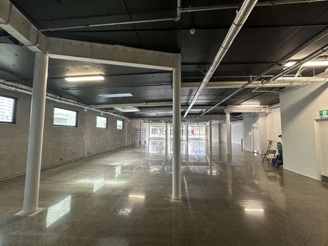 4-8 Rose Road Ponsonby_4