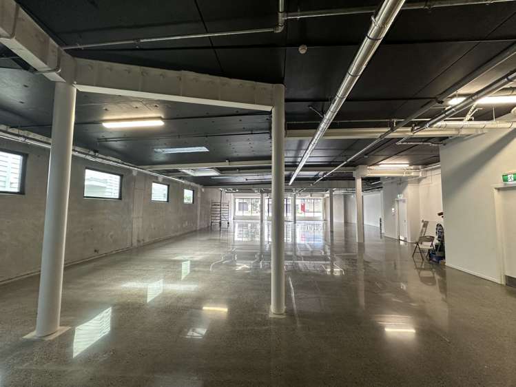 4-8 Rose Road Ponsonby_4