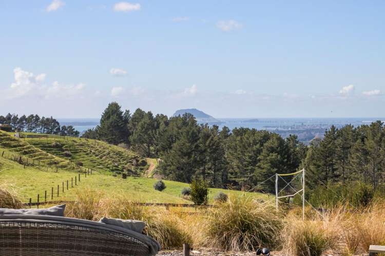 349A Whakamarama Road_0