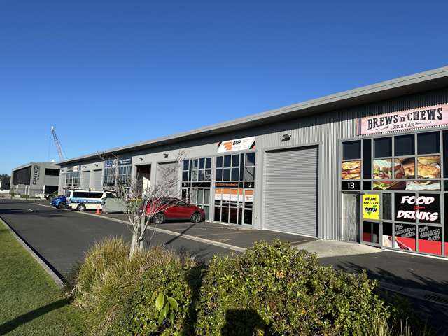 Unit 12/2 Poturi Street Tauriko_1