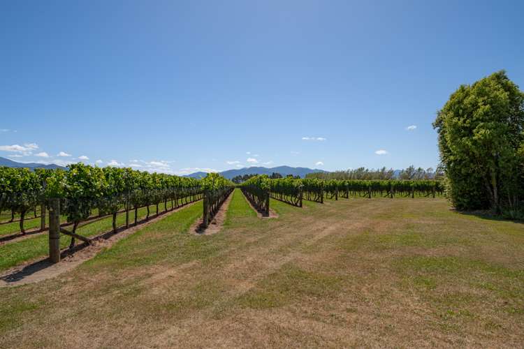 129 Waihopai Valley Road Waihopai Valley_30