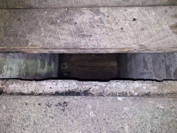 40 Carlton Street Te Awamutu_24