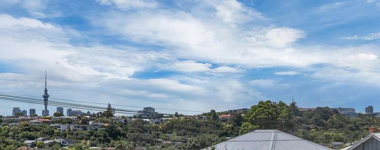 50 Springfield Road Morningside_7