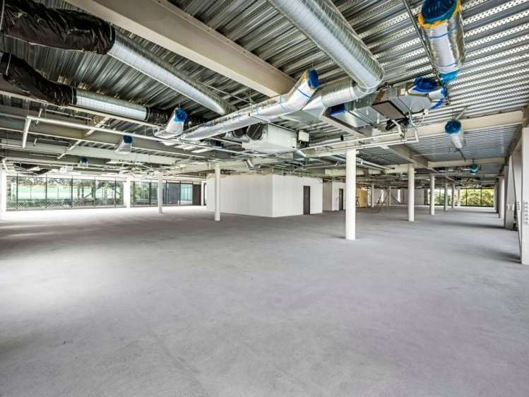 Whole Building/9 Marewa Road Greenlane_6