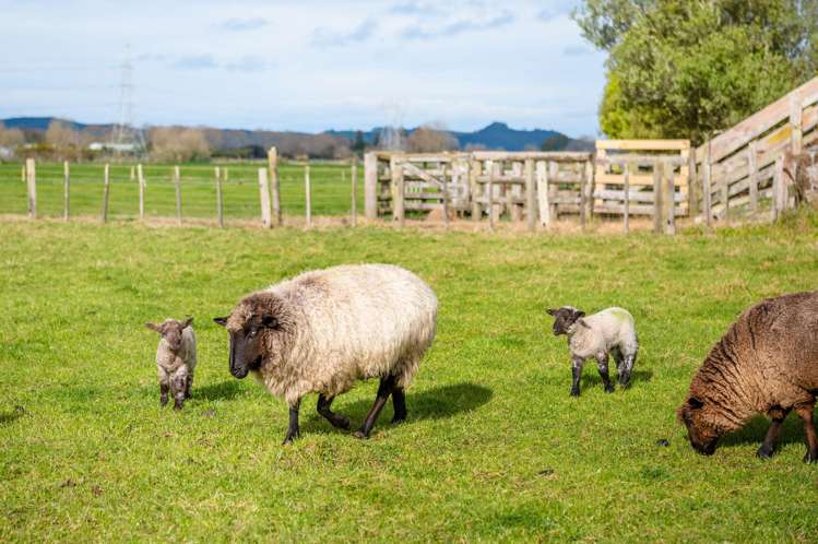 186b Holland Road Puketaha_36