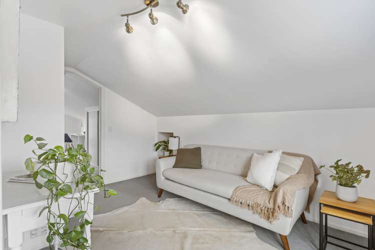 3 Douglas Avenue Mount Albert_14