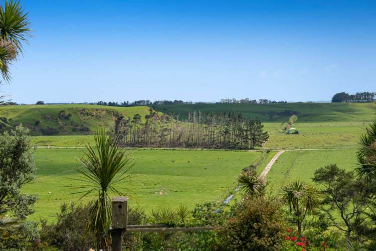 370 Fordyce Road Helensville_15