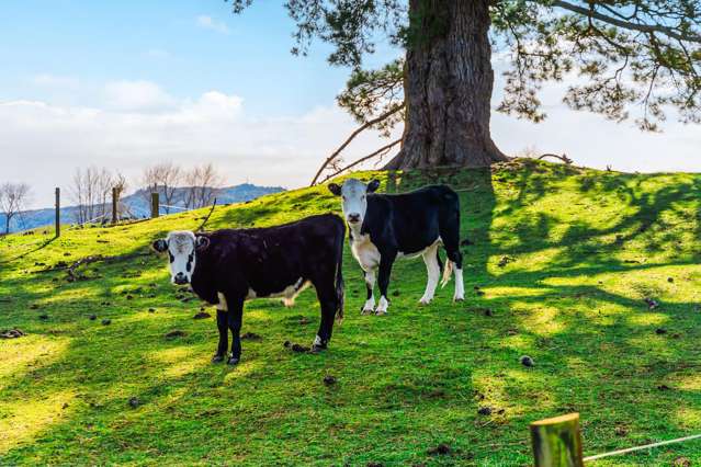 771 Oruanui Road Oruanui_3