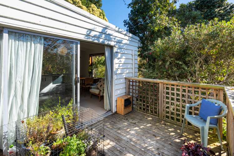 59 Braeview Crescent Maori Hill_3