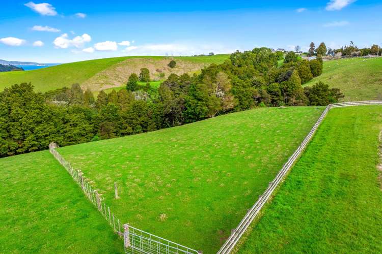 Lot 1 Whitmore Road Matakana_3