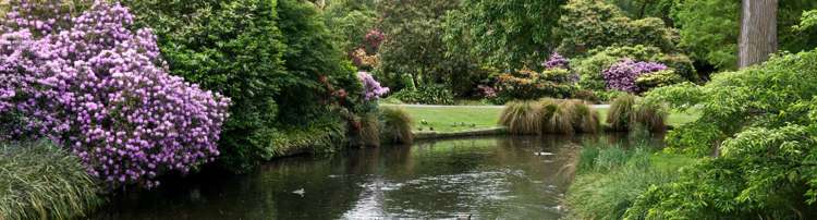 Amberley, Hurunui