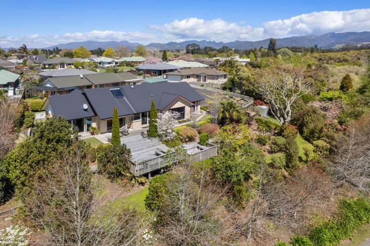 10 Lansdowne Road Katikati_0