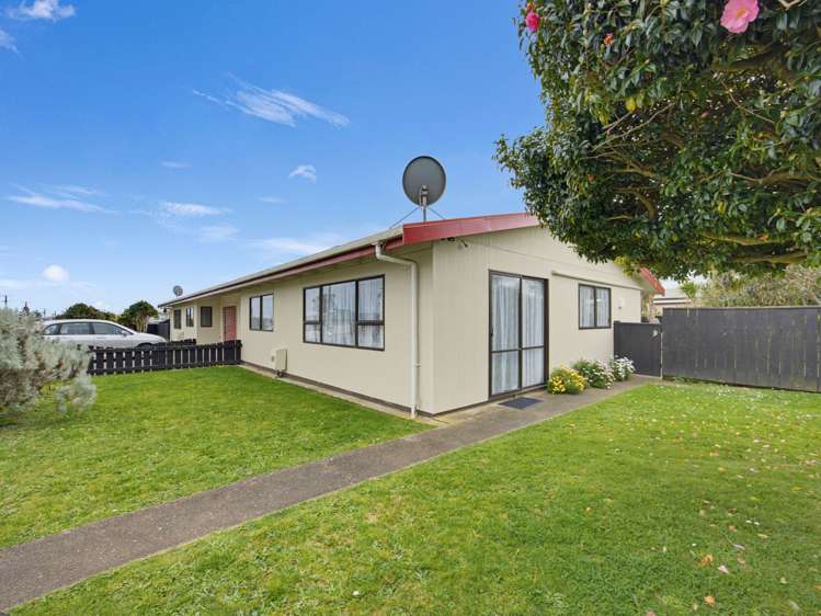 133 Tiro Tiro Road Levin_16