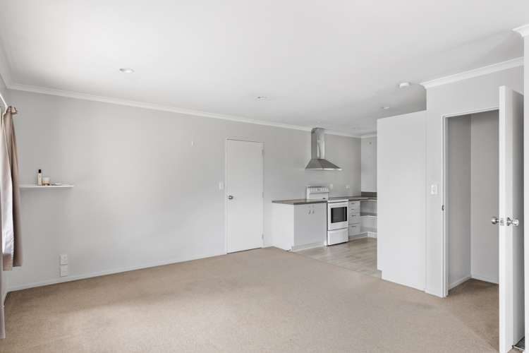 42 Rangitake Drive Spotswood_11