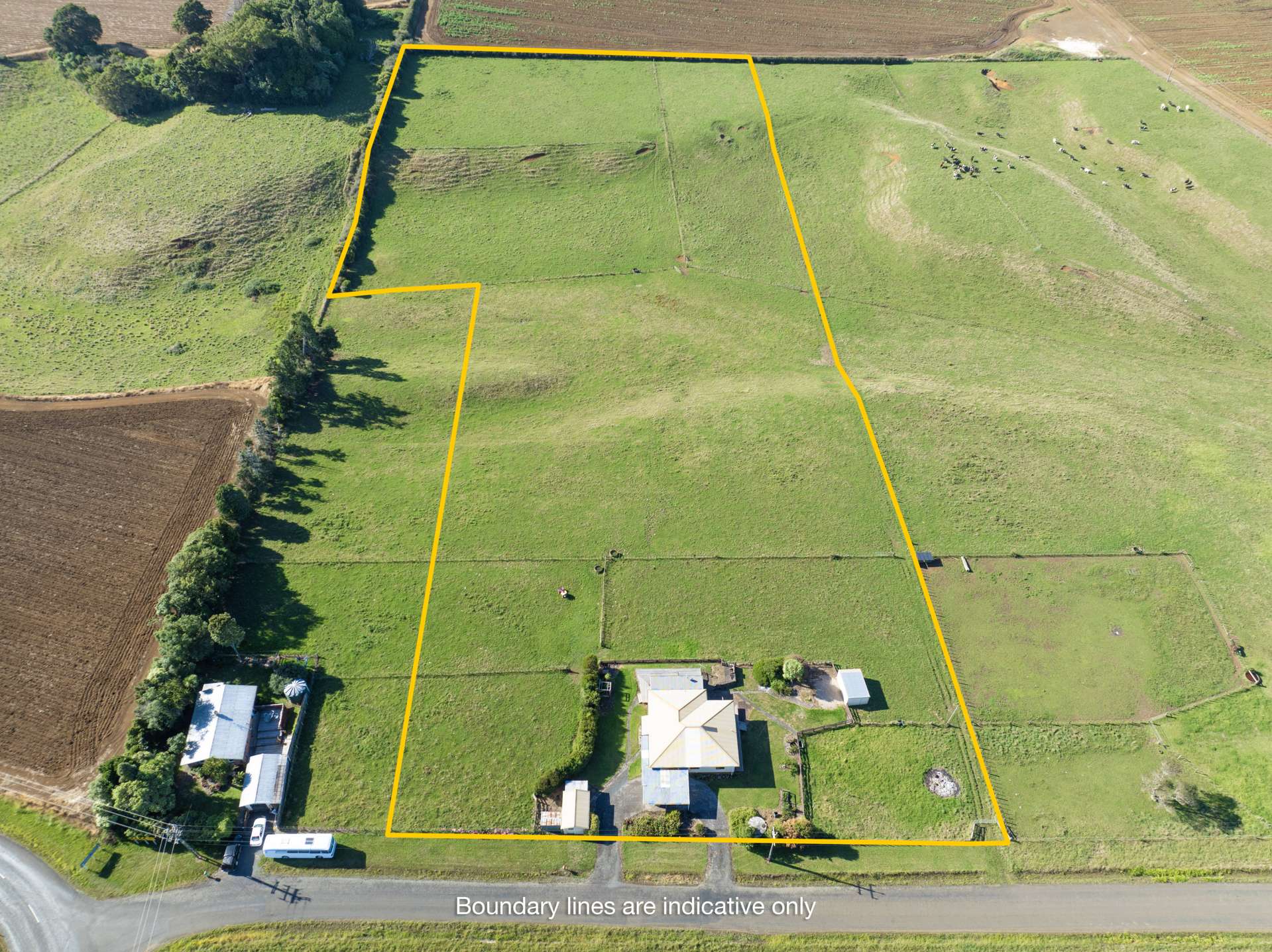 7 Punga Punga Road Pukekawa Franklin Houses for Sale One Roof