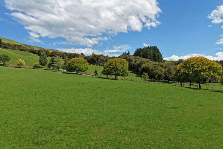 455 Anaroa Road Raukawa_23