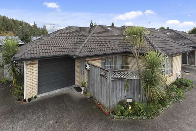 64d Boundary Road Claudelands_1