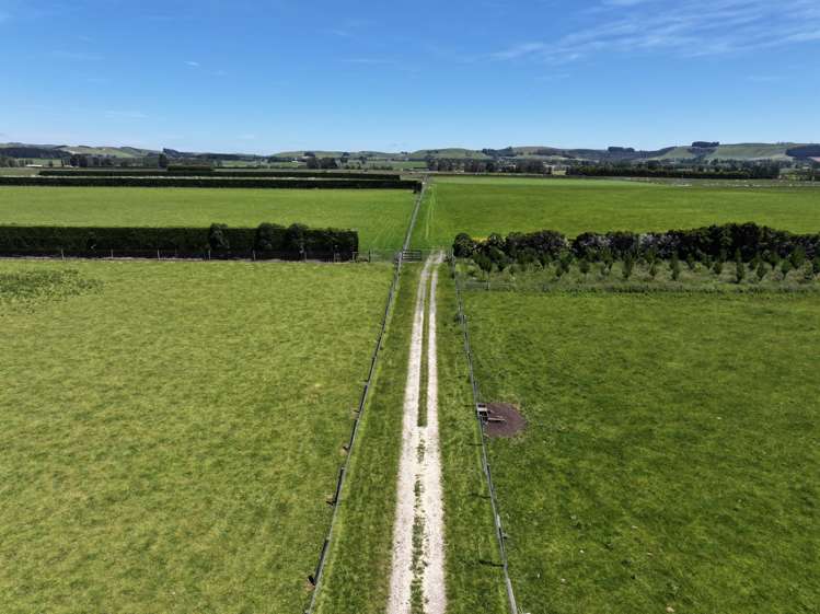 389 Mckenzie Road Browns_21